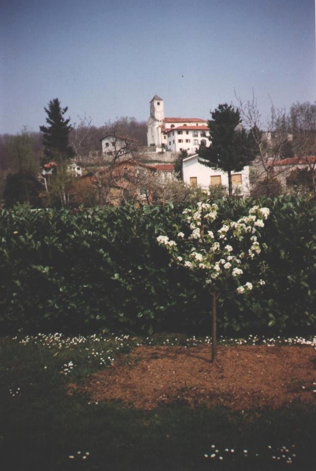chiesa